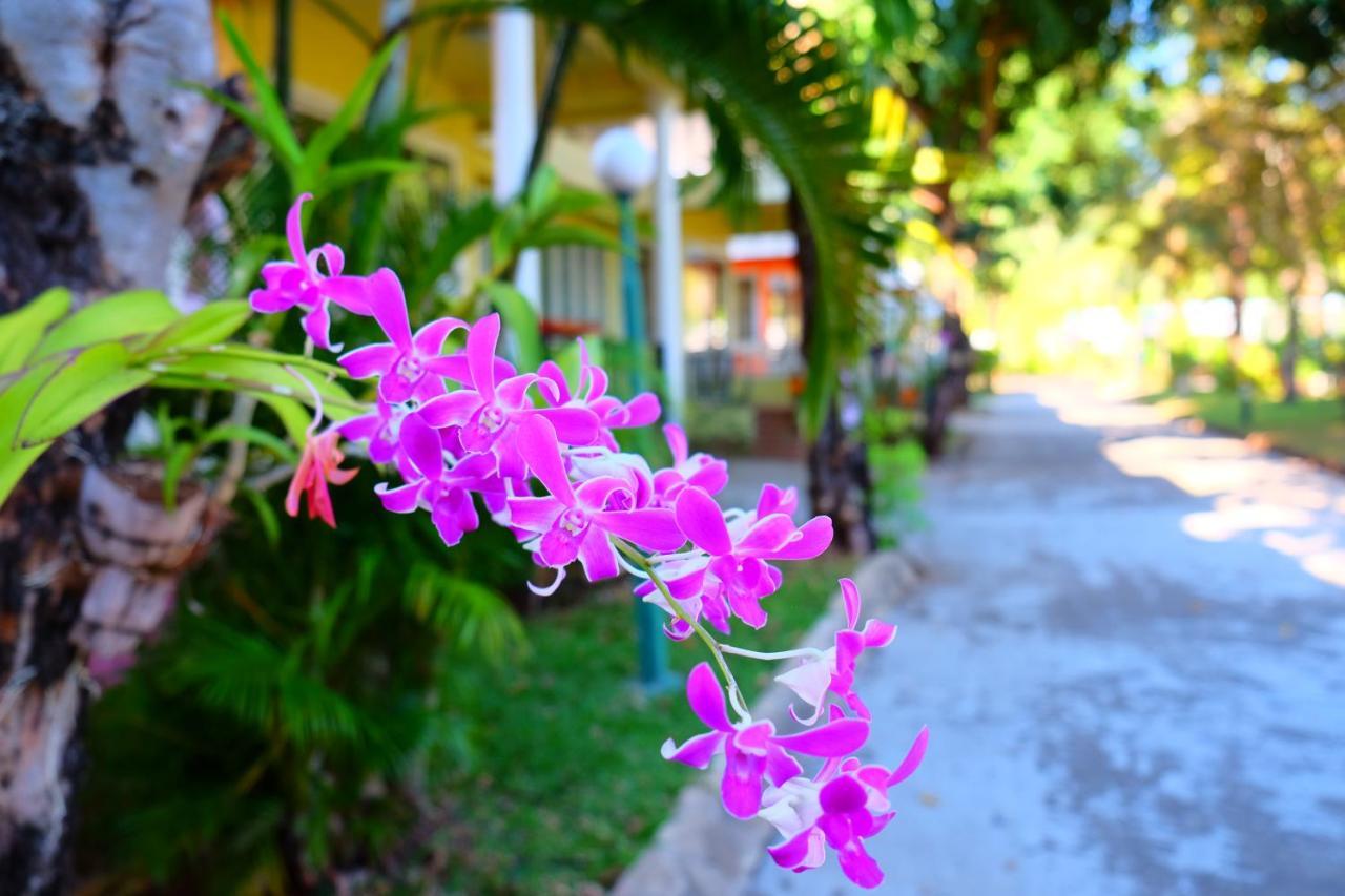 New Travel Beach Hotel & Resort Chao Lao Beach Exterior foto